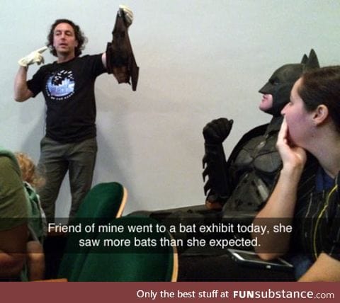 Bat exhibit