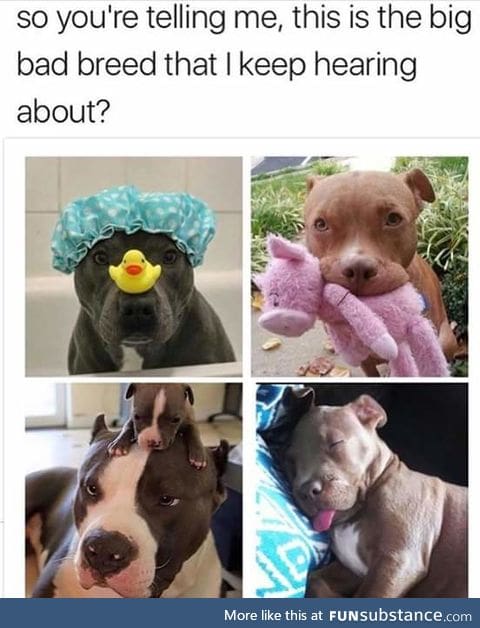 too cute