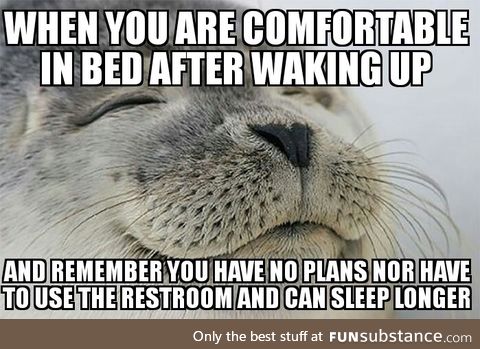 A pretty good Saturday morning feeling