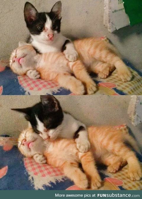 It's okay babe, I'm here