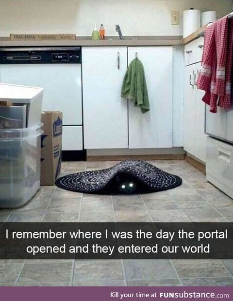 The arrival of the cats