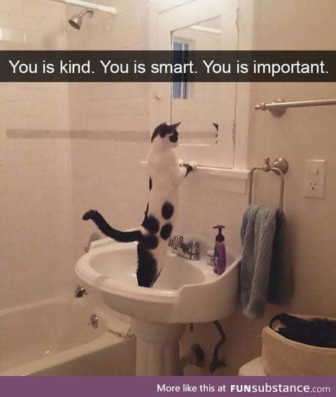 And you is a cow
