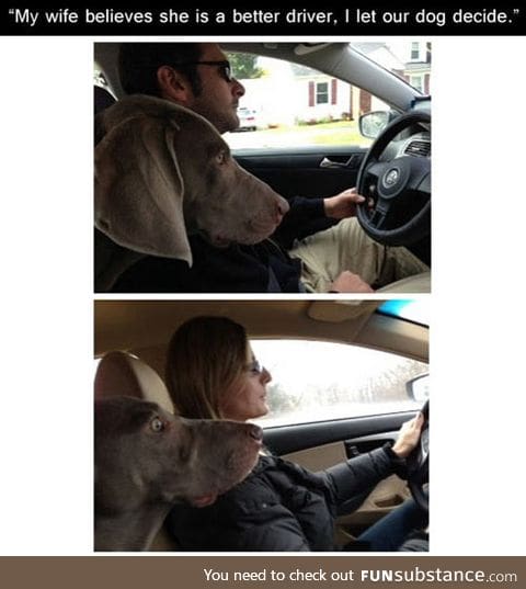 The dog expression speaks for itself