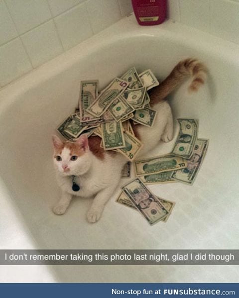 Rolling in the dough
