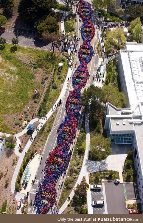 2600 people form a chain to celebrate the anniversary of dna