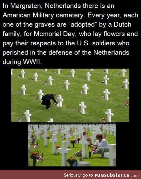 Good guy Netherlands