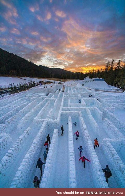 Canadians love their snow mazes