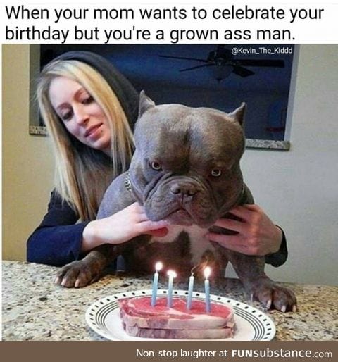 Doggo doesn't want a birthday