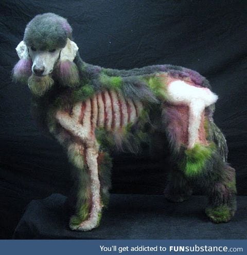 Ever seen a zombie poodle?