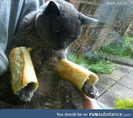 This food thief was caught bread handed!