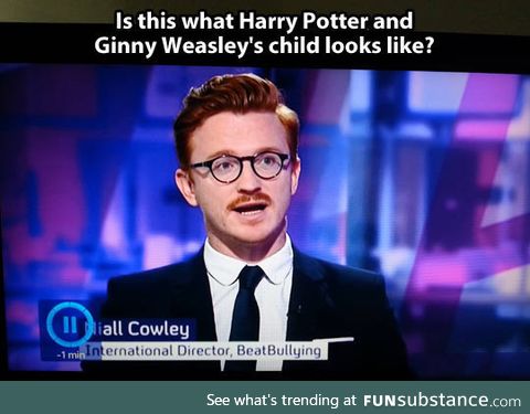 Probably Harry Potter's Illegitimate Son