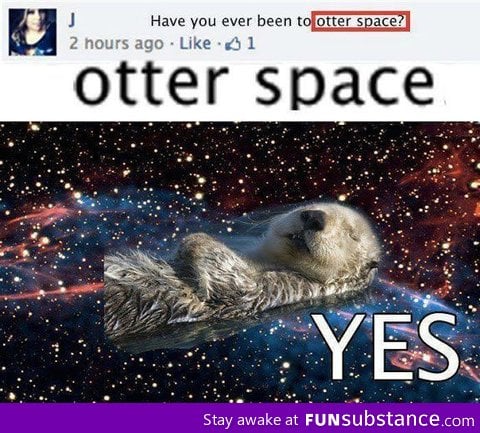 otter space