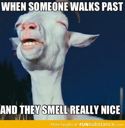 That smell