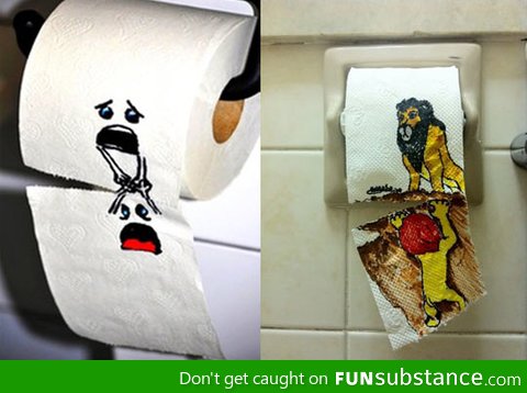 Toilet paper art