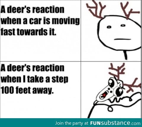 Oh Deer