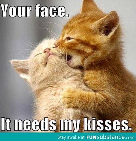 Your fluffy face