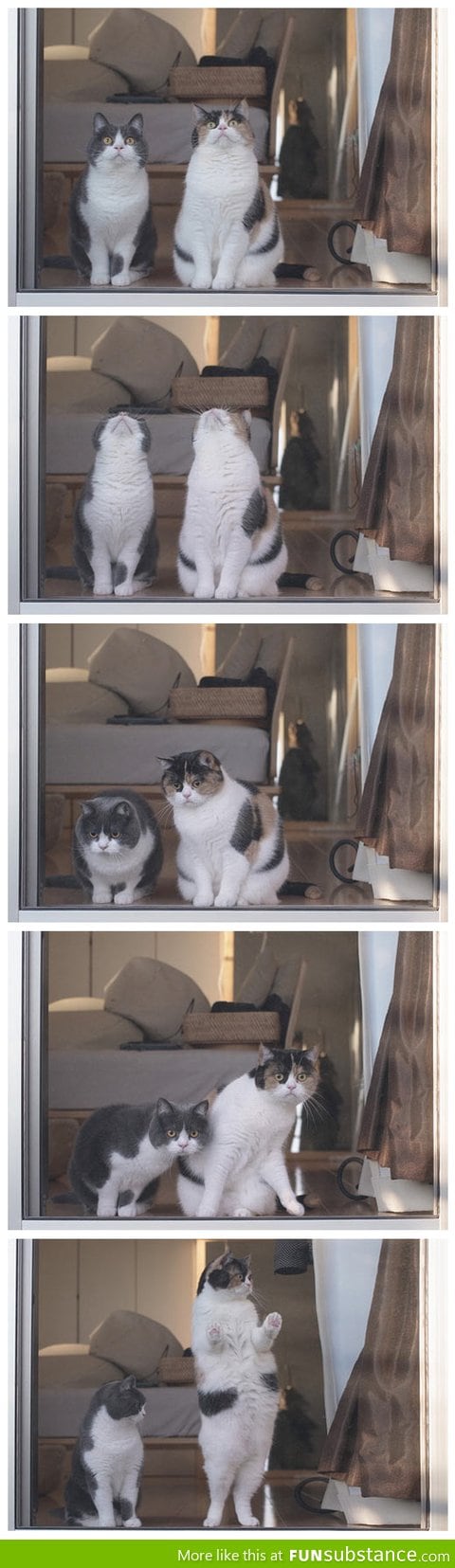 Dude, did you see that?