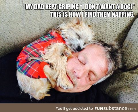 Dads Who Didn’t Want Any Dogs In Their Lives
