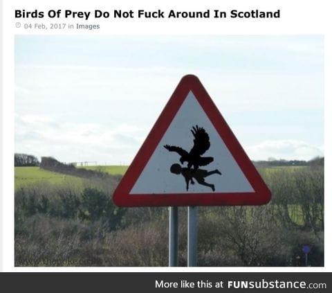 Bastard eagles