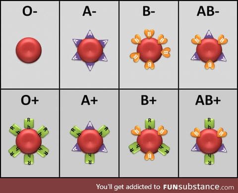 The 8 types of people: