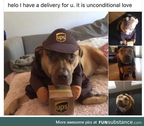 Doggo does a deliver