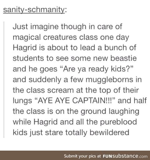 Aye aye Hagrid!