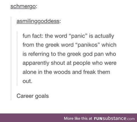 Panic! in the woods