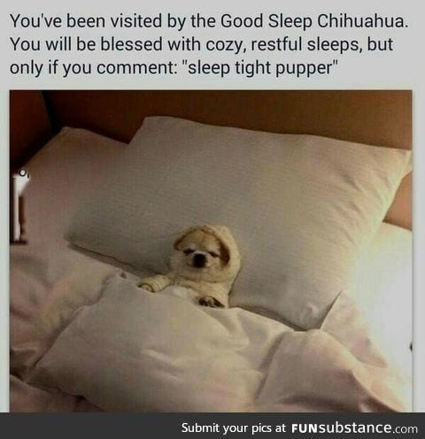 Sleep tight pupper