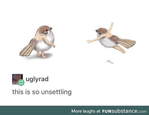 Why does this exist