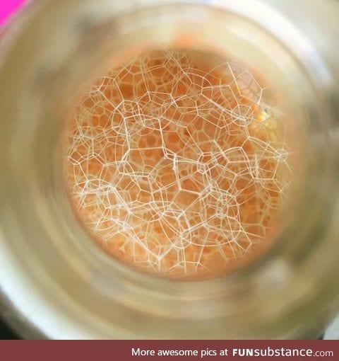 Bubbles seen through the top of the shampoo bottle