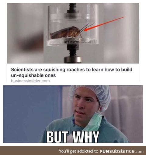 c*ckroach_Master_race.Exe