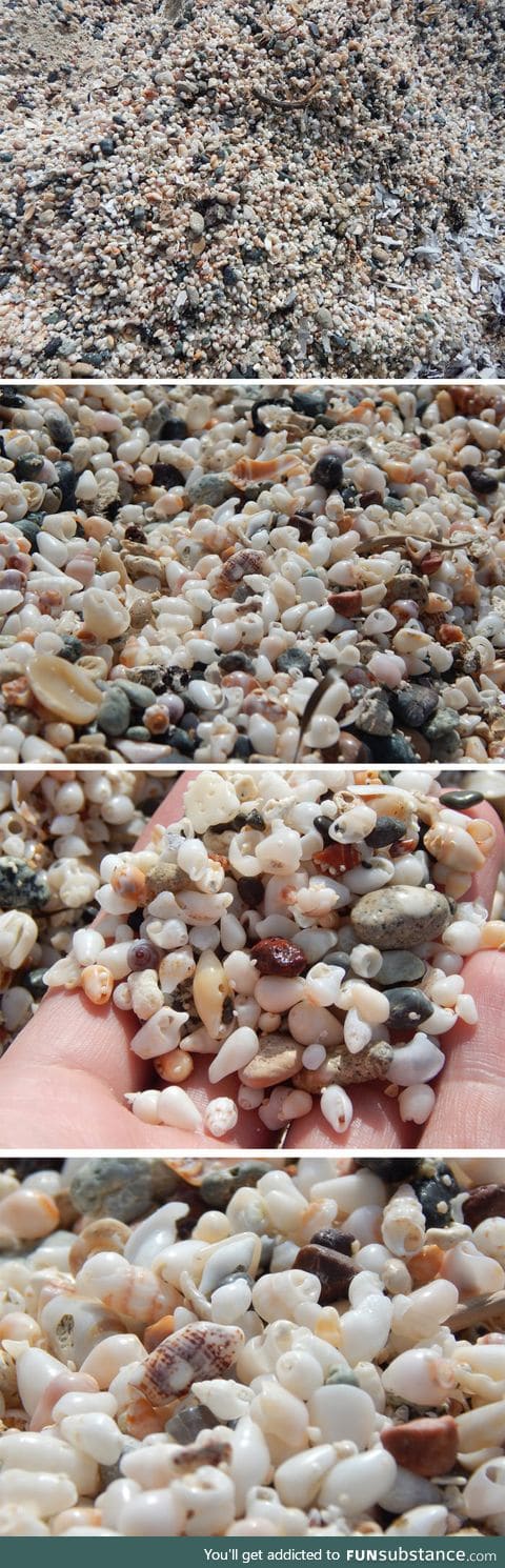 A beach made of tiny shells