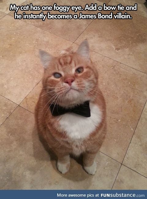 Like a james bond villain