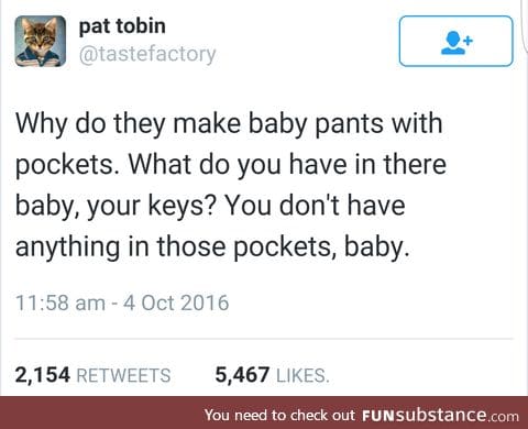 Do the babies have pockets to carry their mom's belongings or something?