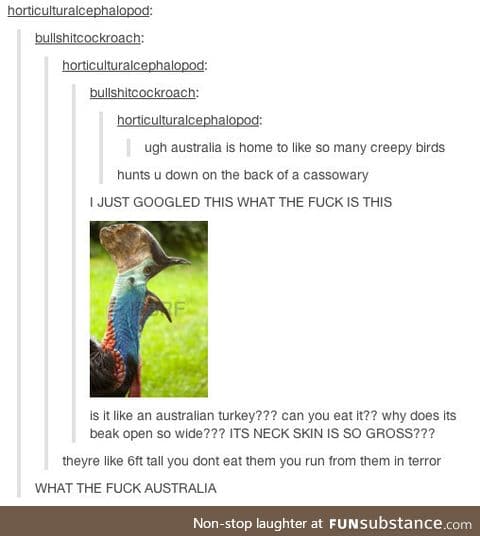 More nightmare fuel from down under