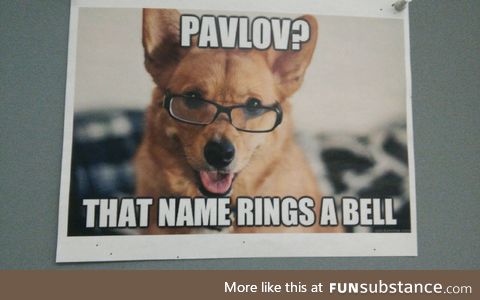 My psych prof thinks he's funny