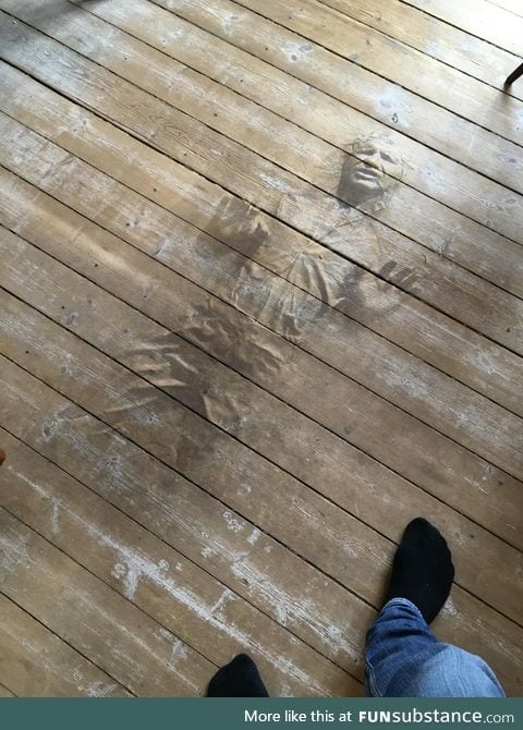 There's a human fossil in the floor planks
