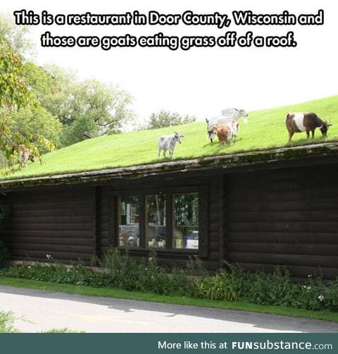 Wisconsin restaurants