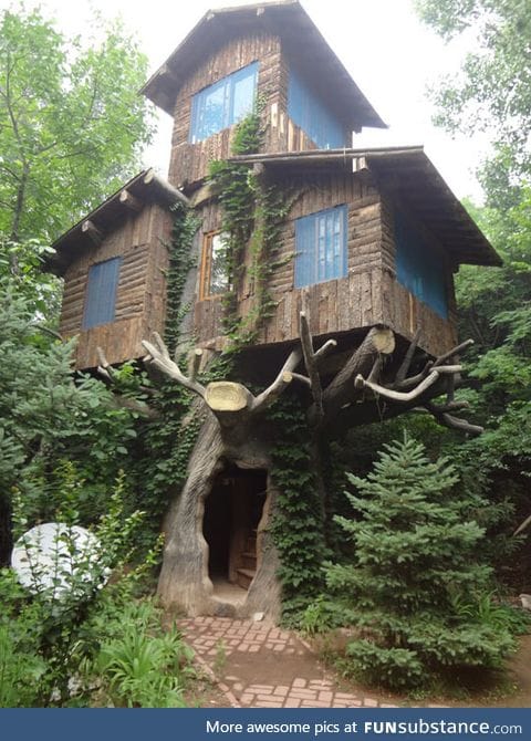 Three story tree house