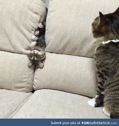 "I can't leave you alone for one minute, can I?"