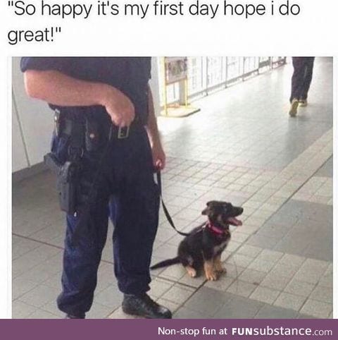 Hope he does great