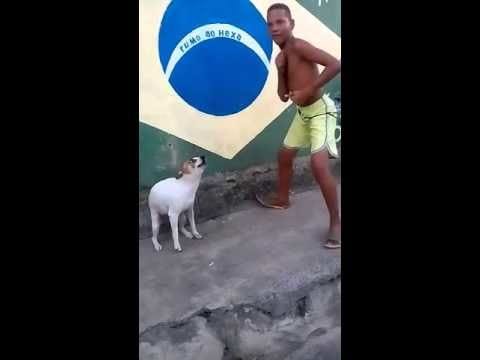 When you don't have any friends so you go to the club with your dog