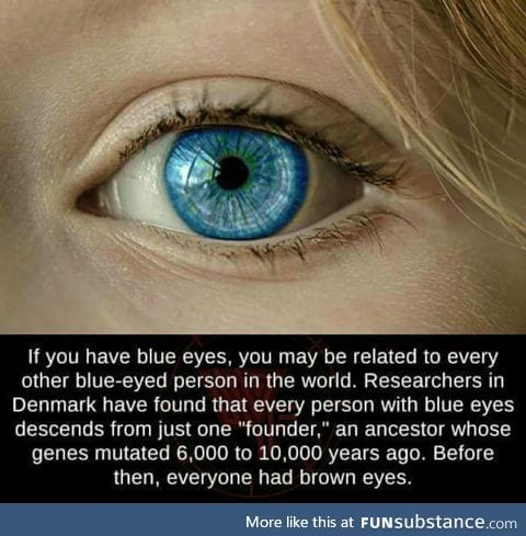 People with blue eyes share the same parent