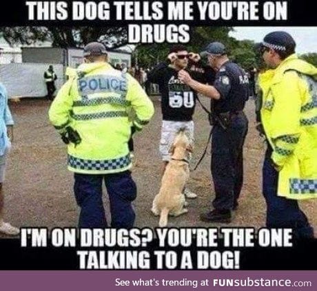I don't do drugs and I talk to my dog all the time