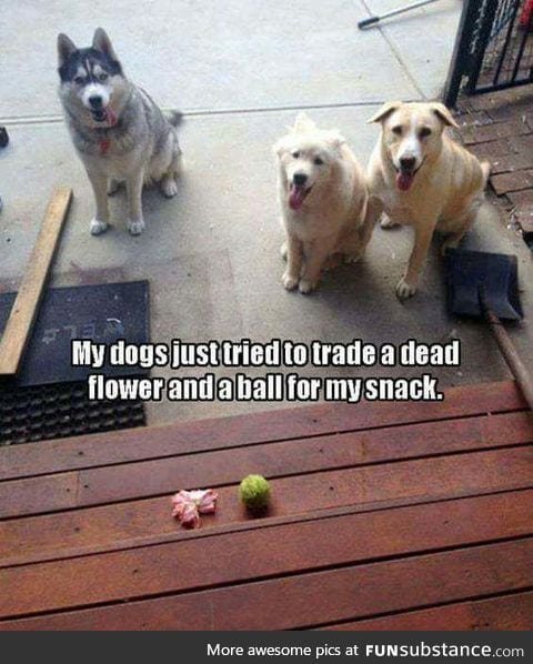 It could be a good trade
