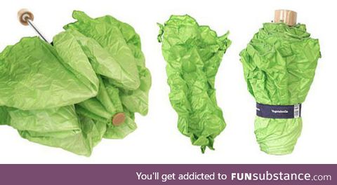 I think I need a lettuce umbrella in my life