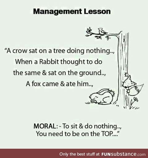 Helpful management lesson