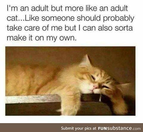 I need help