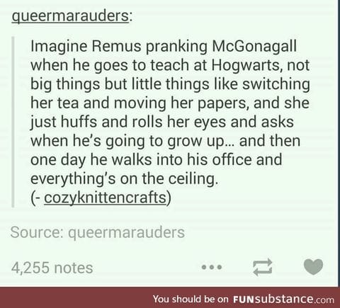 McGonagall getting him back by enchanting his quill to write backwards.