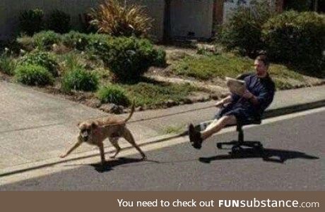 Walking the dog. Laziness level: Genius